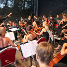 Stiegl_Picknick120824019.jpg