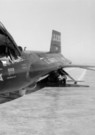 Neil Armstrong: Ein Leben in Bildern