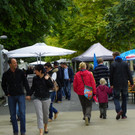 105_5067_jpg-1345981126