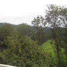 DSC09906.JPG