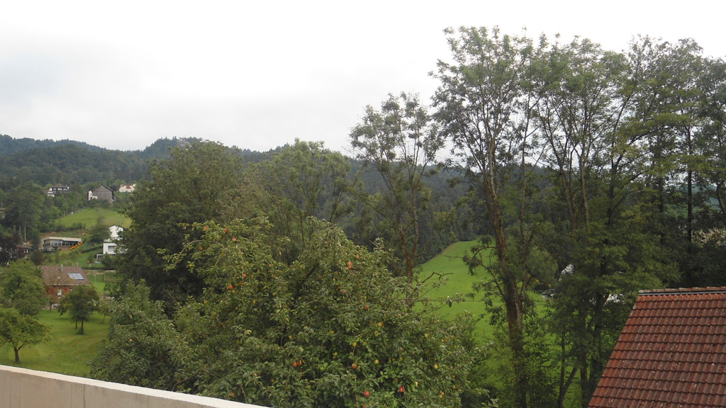 DSC09906.JPG