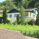 DSCN7164_JPG-1345993224