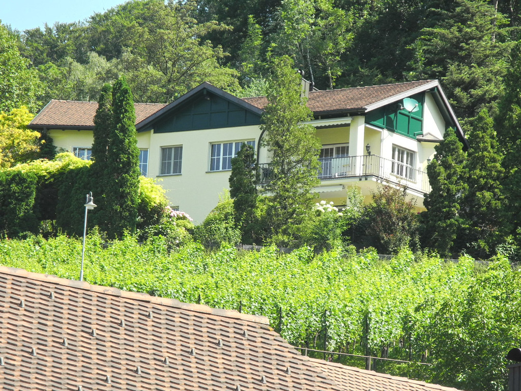 DSCN7164_JPG-1345993224