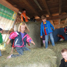 IMG_3336.JPG