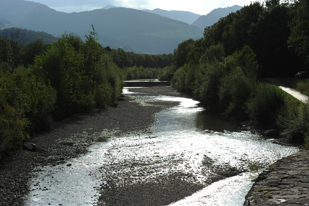 Frutz04.JPG