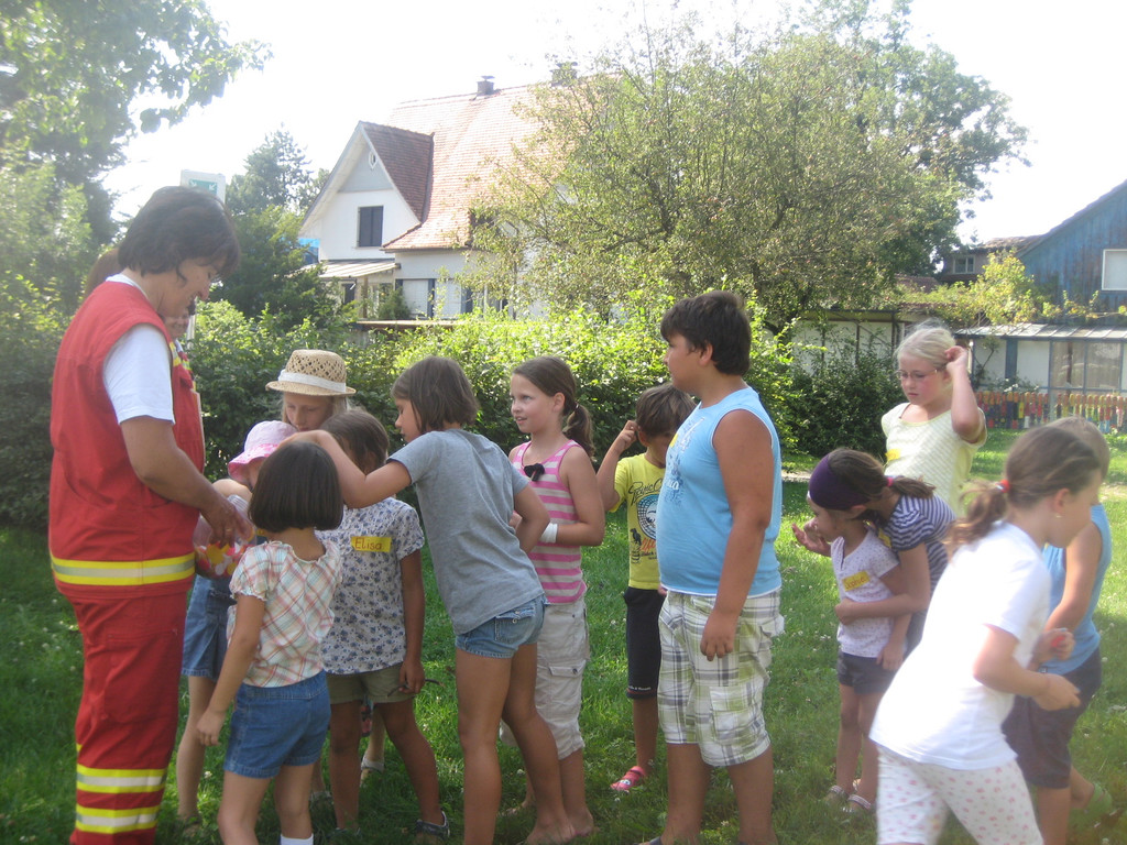 grilla_jpg 002_jpg-1346055475
