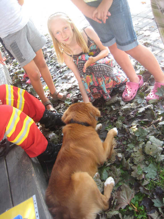 grilla_jpg 007_jpg-1346055485