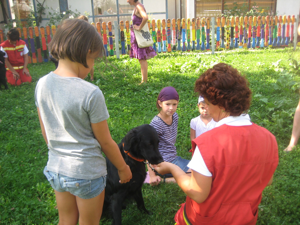grilla_jpg 008_jpg-1346055489