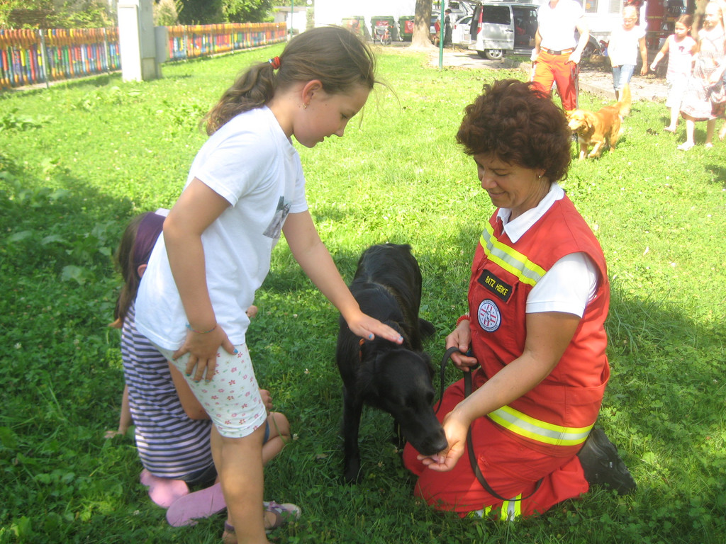 grilla_jpg 010_jpg-1346055495