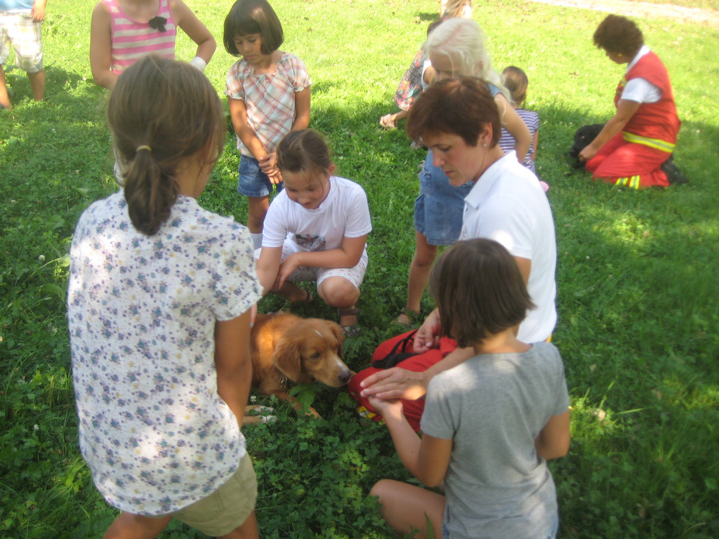 grilla_jpg 011_jpg-1346055500