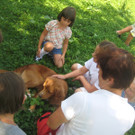 grilla_jpg 012_jpg-1346055503