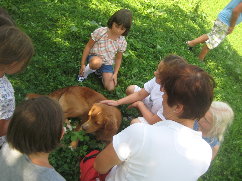 grilla_jpg 012_jpg-1346055503