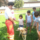 grilla_jpg 015_jpg-1346055514