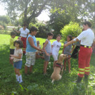 grilla_jpg 016_jpg-1346055518
