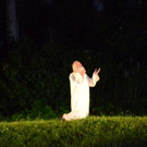 DSC_2932.jpg