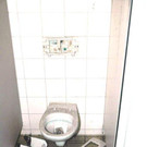 Vandalismus Fu__ballspiel_3.jpg