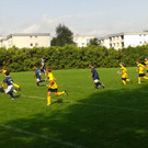 2012-08-25 10_22_33_jpg-1346056749