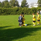 2012-08-25 10_29_40_jpg-1346056784