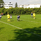 2012-08-25 10_29_47_jpg-1346056825