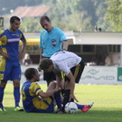 Wolf_ - Hoechst  2012 188.jpg