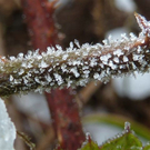 Verschneite Winterwanderwelt
