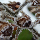 Bk_P1020122.jpg