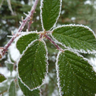 Bk_P1020167.jpg