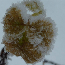 Bk_P1020200.jpg