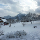 Bk_P1030184 _2_.jpg