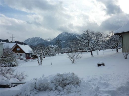 Bk_P1030184 _2_.jpg