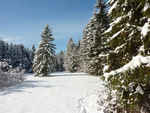 Bk_P1030248 _2_.jpg