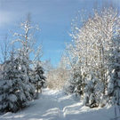 Bk_P1030252 _2_.jpg