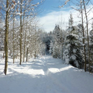 Bk_P1030256 _2_.jpg