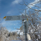 Bk_P1030259 _2_.jpg