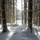 Bk_P1030269 _2_.jpg