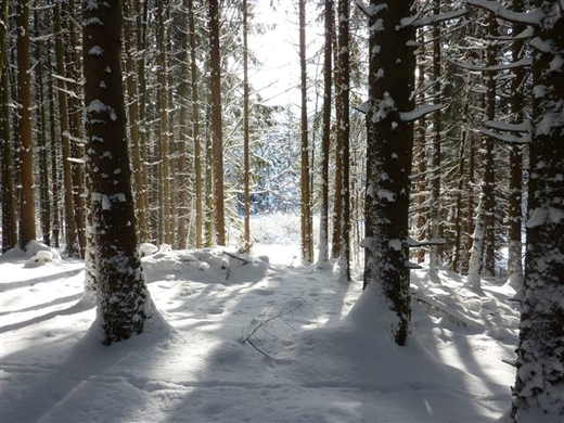 Bk_P1030269 _2_.jpg