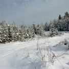 Bk_P1030275 _2_.jpg