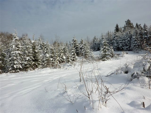 Bk_P1030275 _2_.jpg