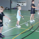 Badminton1_jpg-1346138623