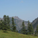 IMG_2313_jpg-1346141035