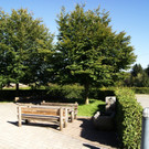 DSC03458_JPG-1346143862