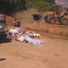 DAB1729-20120826.jpg