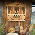 24082012gartenvereineugendorfat_02_001aktivnews__65_.JPG
