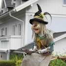 24082012gartenvereineugendorfat_02_001aktivnews__64_.JPG