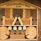 24082012gartenvereineugendorfat_02_001aktivnews__18_.JPG