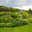 24082012gartenvereineugendorfat_02_001aktivnews__15_.JPG