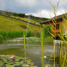24082012gartenvereineugendorfat_02_001aktivnews__30_.JPG