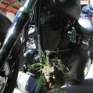 Biker stürzt auf Kies