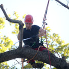 ABD0003-20120829.jpg