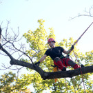 ABD0005-20120829.jpg